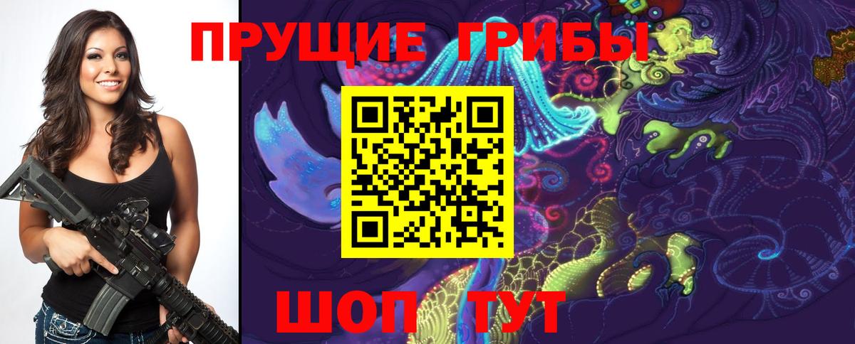 Нижний Тагил  Галлюциногенные грибы Psilocybine cubensis  Вход с VPN 