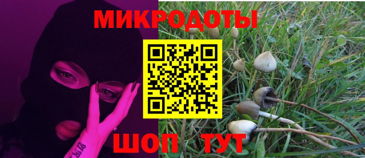 Псилоцибиновые грибы Cubensis Нижний Тагил